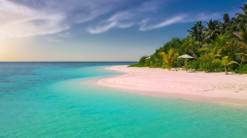 Hamptons Beach